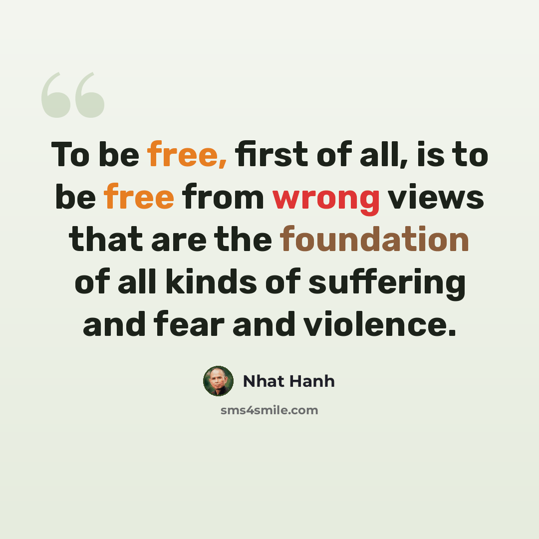 “To be free, first of all, is to be free from wrong views that are the foundation of all kinds of suffering and fear and violence.” quote by Nhat Hanh