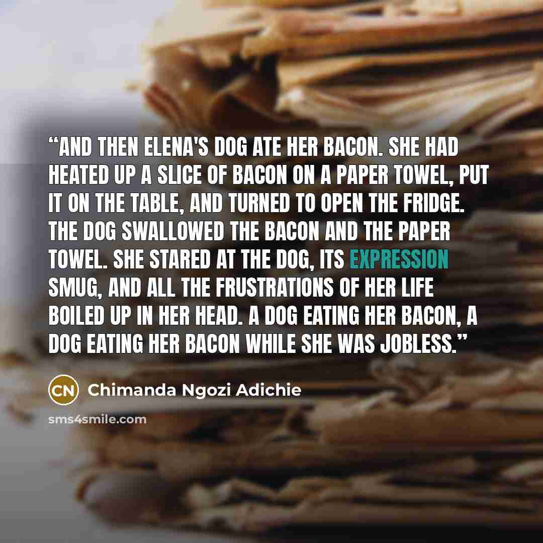 “And then Elena's dog ate her bacon. She had heated up a slice of bacon on a paper towel, put it on the table, and turned to open the fridge. The dog swallowed the bacon and the paper towel. She stared at the dog, its expression smug, and all the frustrations of her life boiled up in her head. A…” quote by Chimanda Ngozi Adichie