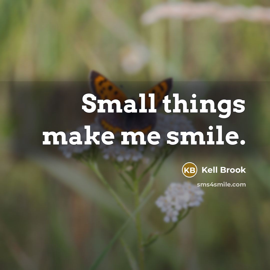 “Small things make me smile.” quote by Kell Brook