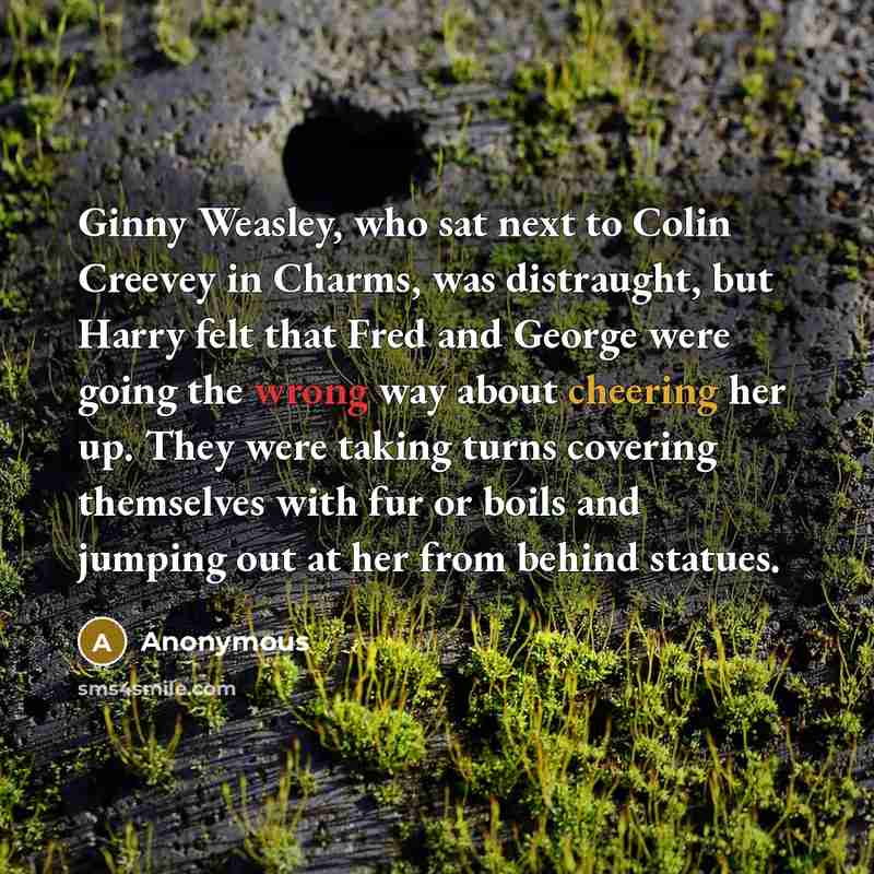 “Ginny Weasley, who sat next to Colin Creevey in Charms, was distraught, but Harry felt that Fred and George were going the wrong way about cheering her up. They were taking turns covering themselves with fur or boils and jumping out at her from behind statues.” quote by Anonymous