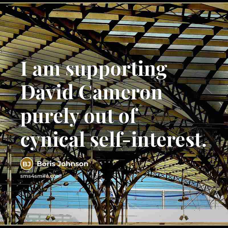 “I am supporting David Cameron purely out of cynical self-interest.” quote by Boris Johnson