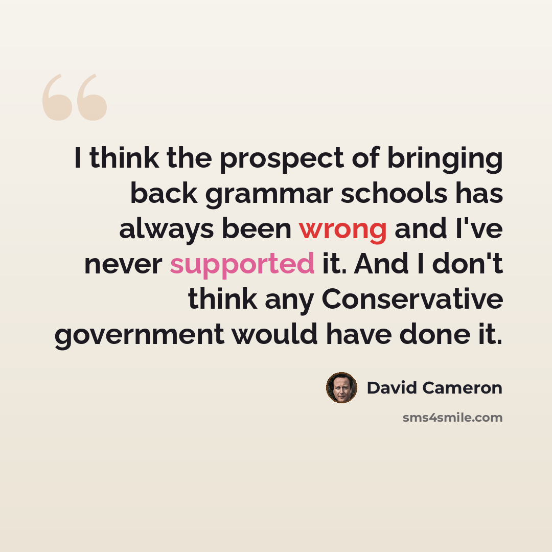 “I think the prospect of bringing back grammar schools has always been wrong and I've never supported it. And I don't think any Conservative government would have done it.” quote by David Cameron