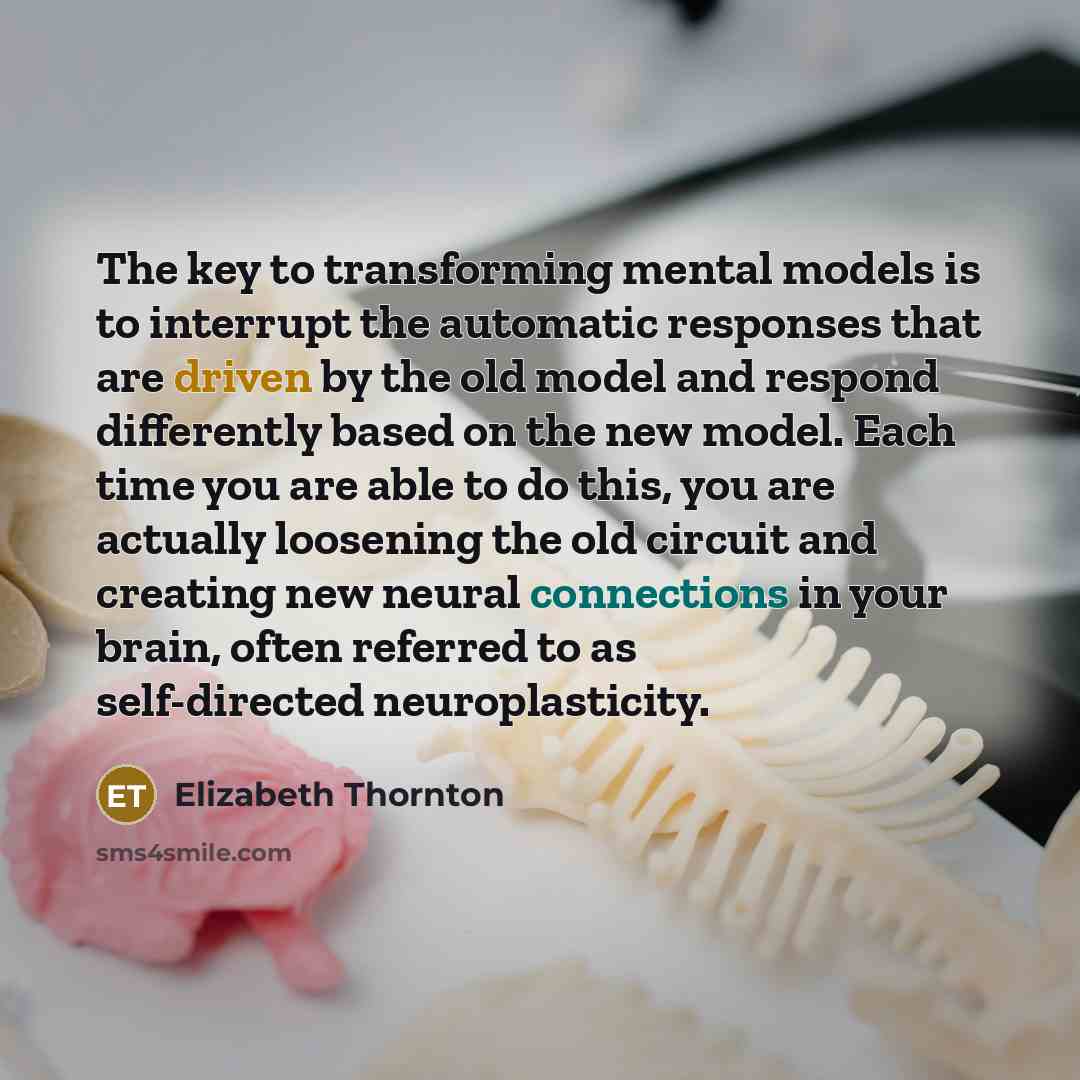 “The key to transforming mental models is to interrupt the automatic responses that are driven by the old model and respond differently based on the new model. Each time you are able to do this, you are actually loosening the old circuit and creating new neural connections in your brain, often…” quote by Elizabeth Thornton