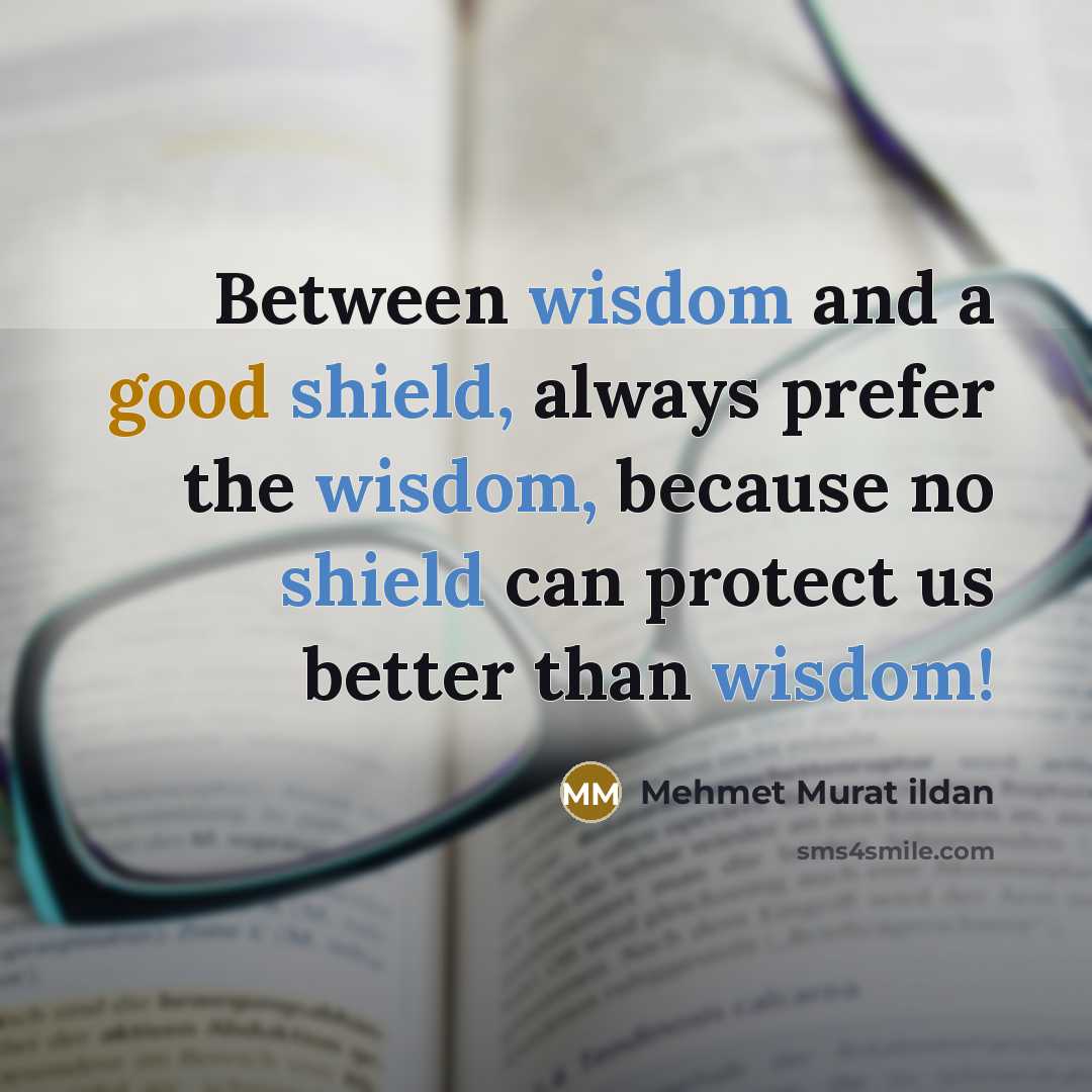 “Between wisdom and a good shield, always prefer the wisdom, because no shield can protect us better than wisdom!” quote by Mehmet Murat Ildan