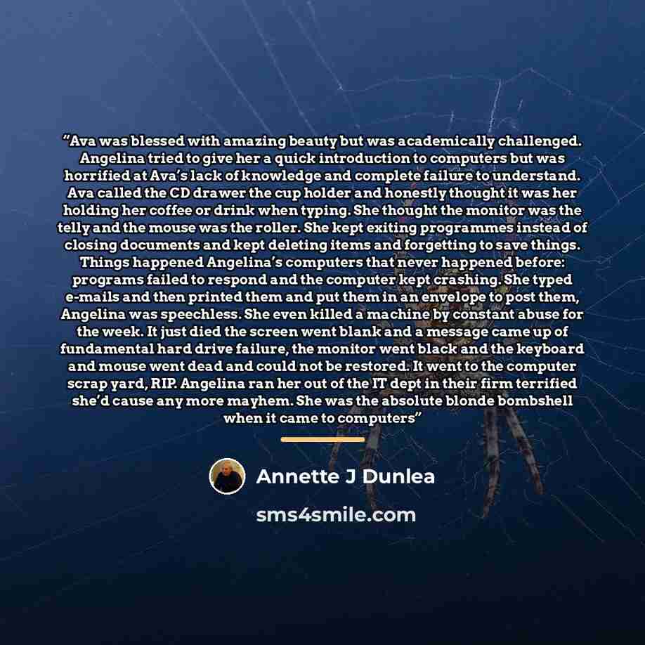“Ava was blessed with amazing beauty but was academically challenged. Angelina tried to give her a quick introduction to computers but was horrified at Ava’s lack of knowledge and complete failure to understand. Ava called the CD drawer the cup holder and honestly thought it was her holding her…” quote by Annette J Dunlea