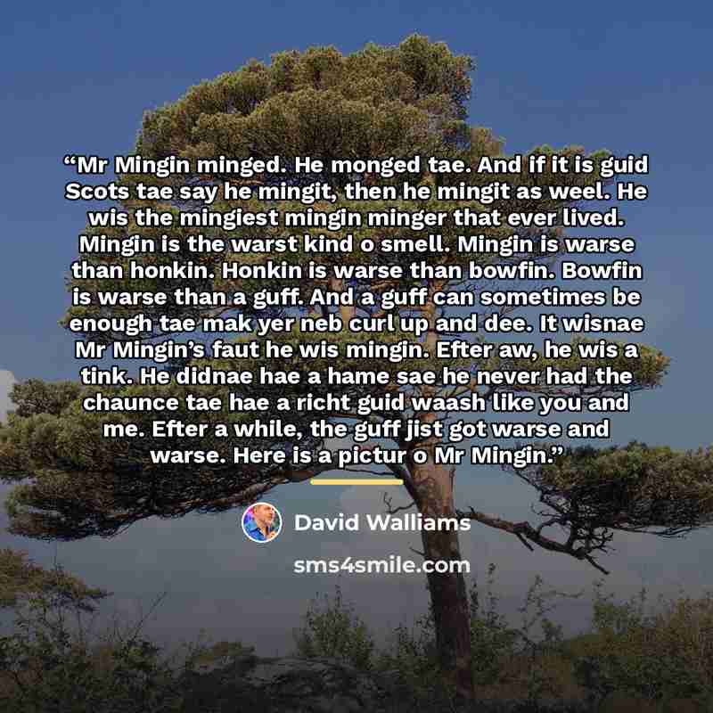 “Mr Mingin minged. He monged tae. And if it is guid Scots tae say he mingit, then he mingit as weel. He wis the mingiest mingin minger that ever lived. Mingin is the warst kind o smell. Mingin is warse than honkin. Honkin is warse than bowfin. Bowfin is warse than a guff. And a guff can sometimes…” quote by David Walliams