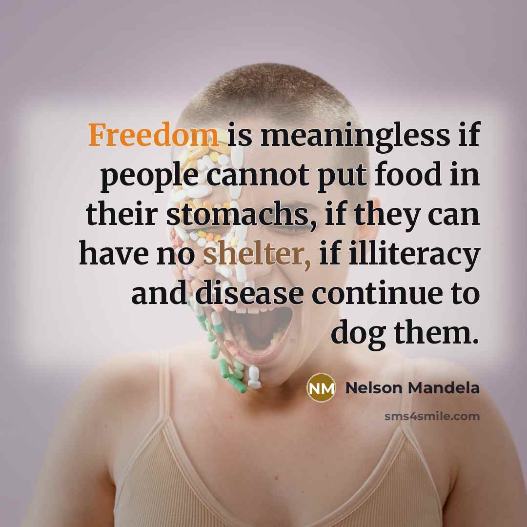“Freedom is meaningless if people cannot put food in their stomachs, if they can have no shelter, if illiteracy and disease continue to dog them.” quote by Nelson Mandela