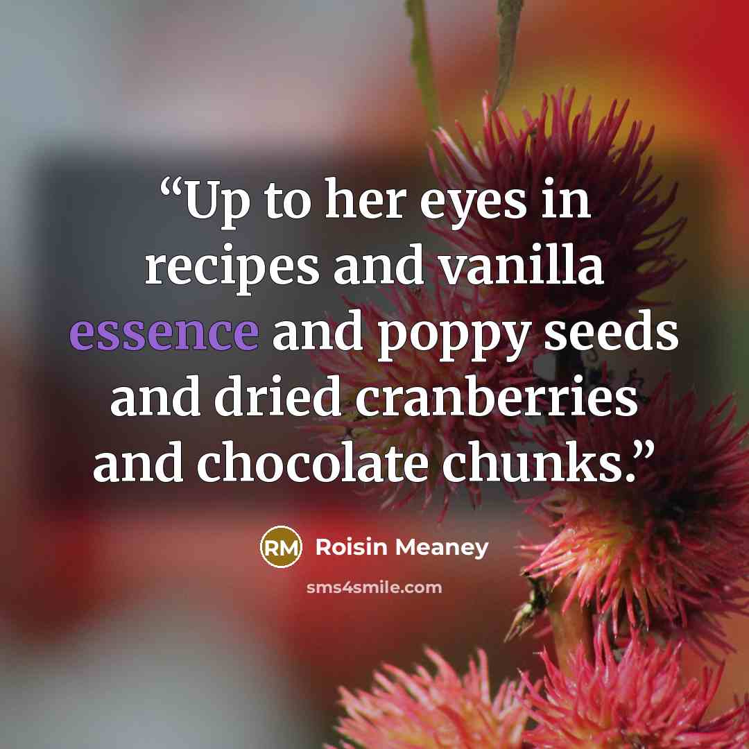 “Up to her eyes in recipes and vanilla essence and poppy seeds and dried cranberries and chocolate chunks.” quote by Roisin Meaney