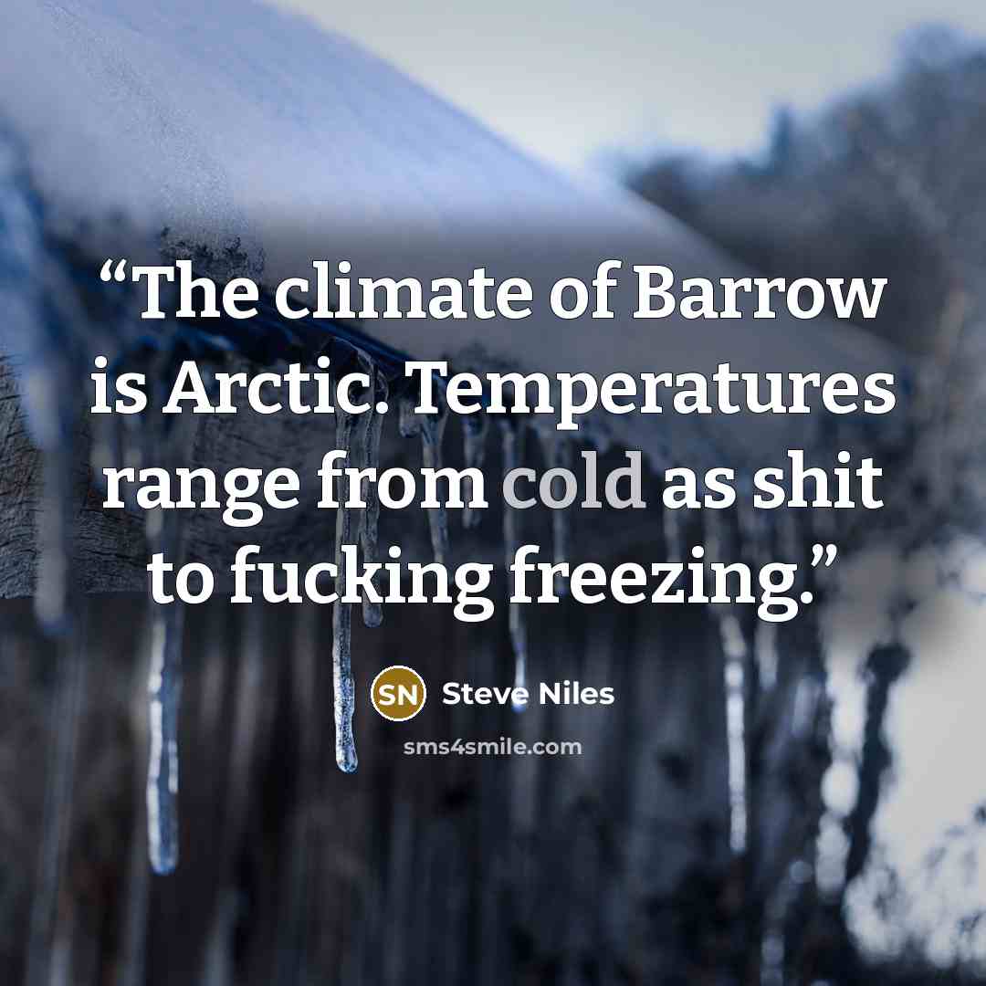 “The climate of Barrow is Arctic. Temperatures range from cold as shit to fucking freezing.” quote by Steve Niles