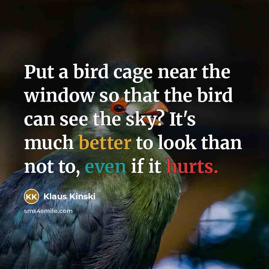 “Put a bird cage near the window so that the bird can see the sky? It's much better to look than not to, even if it hurts.” quote by Klaus Kinski
