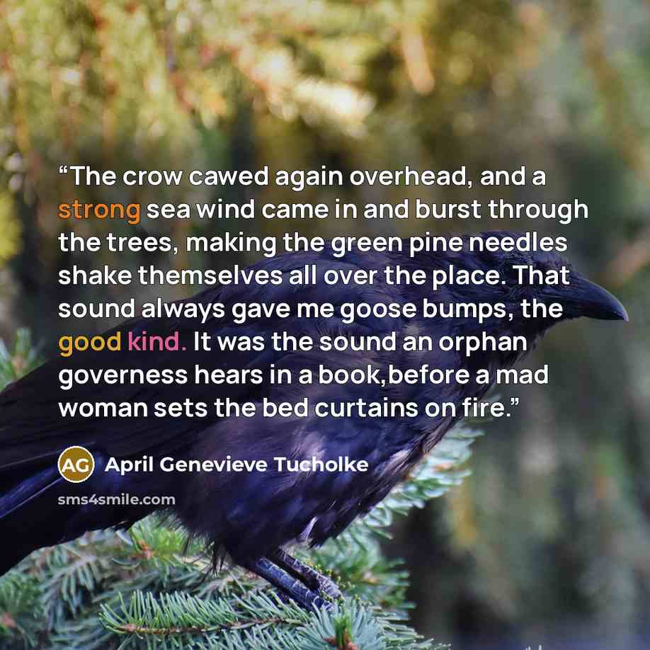 “The crow cawed again overhead, and a strong sea wind came in and burst through the trees, making the green pine needles shake themselves all over the place. That sound always gave me goose bumps, the good kind. It was the sound an orphan governess hears in a book,before a mad woman sets the bed…” quote by April Genevieve Tucholke
