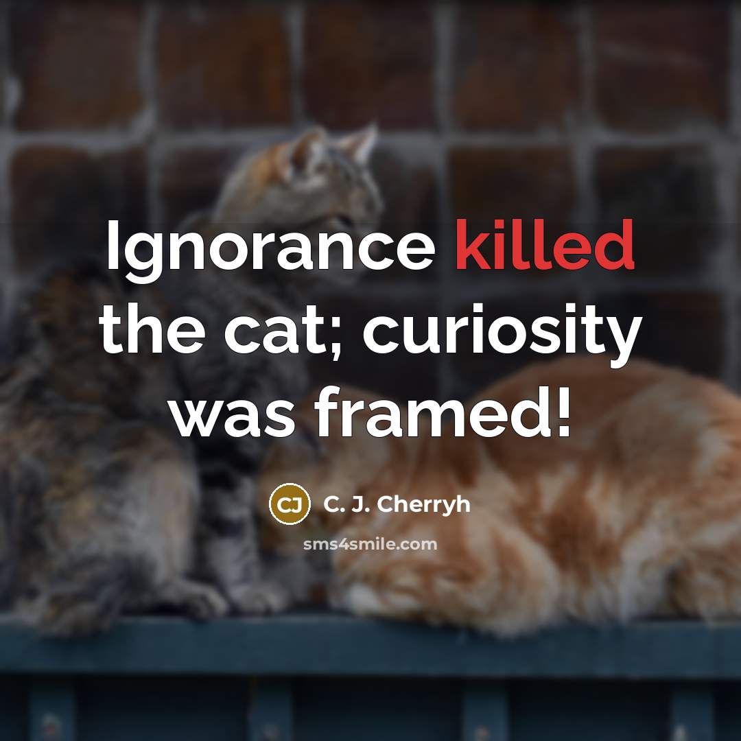 “Ignorance killed the cat; curiosity was framed!” quote by C. J. Cherryh