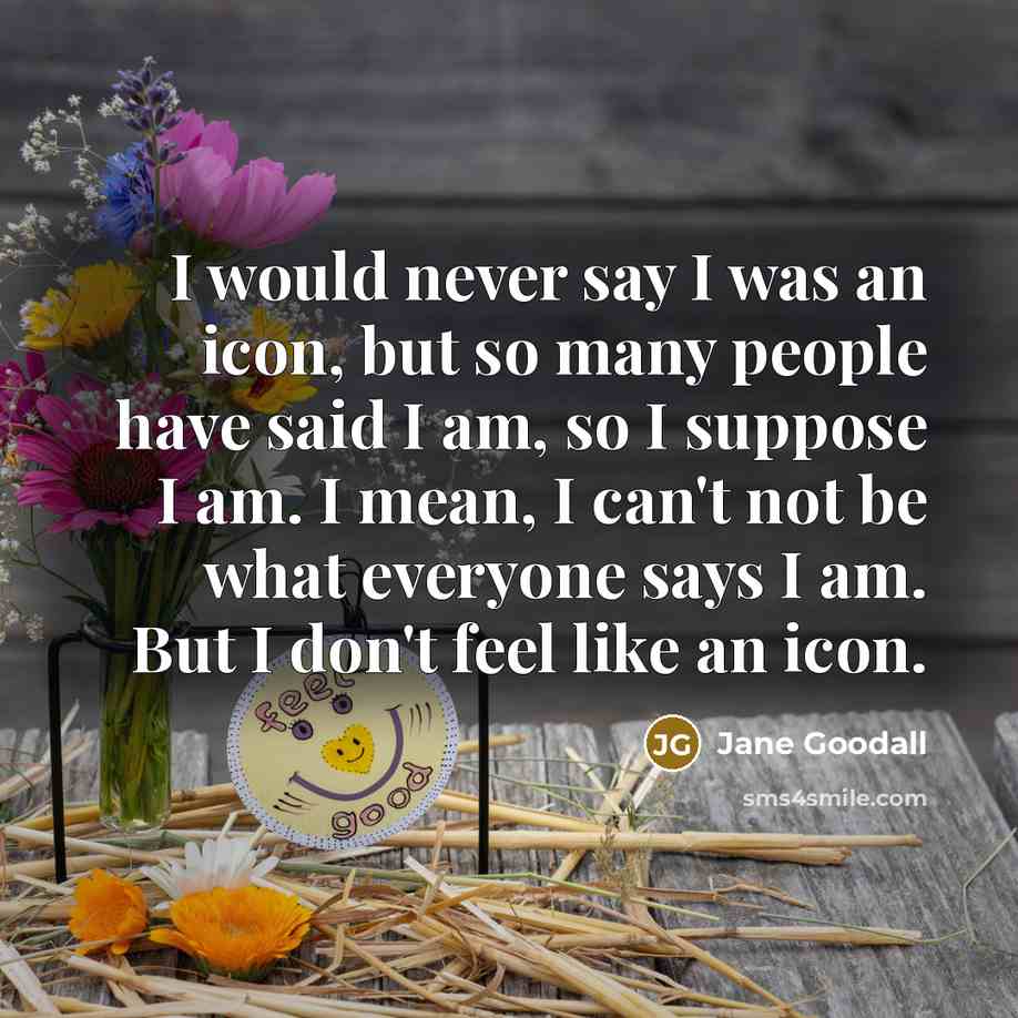“I would never say I was an icon, but so many people have said I am, so I suppose I am. I mean, I can't not be what everyone says I am. But I don't feel like an icon.” quote by Jane Goodall