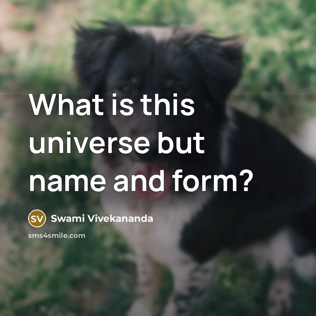“What is this universe but name and form?” quote by Swami Vivekananda