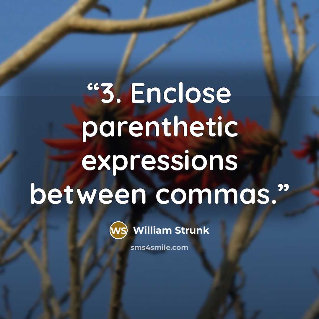 “3. Enclose parenthetic expressions between commas.” quote by William Strunk