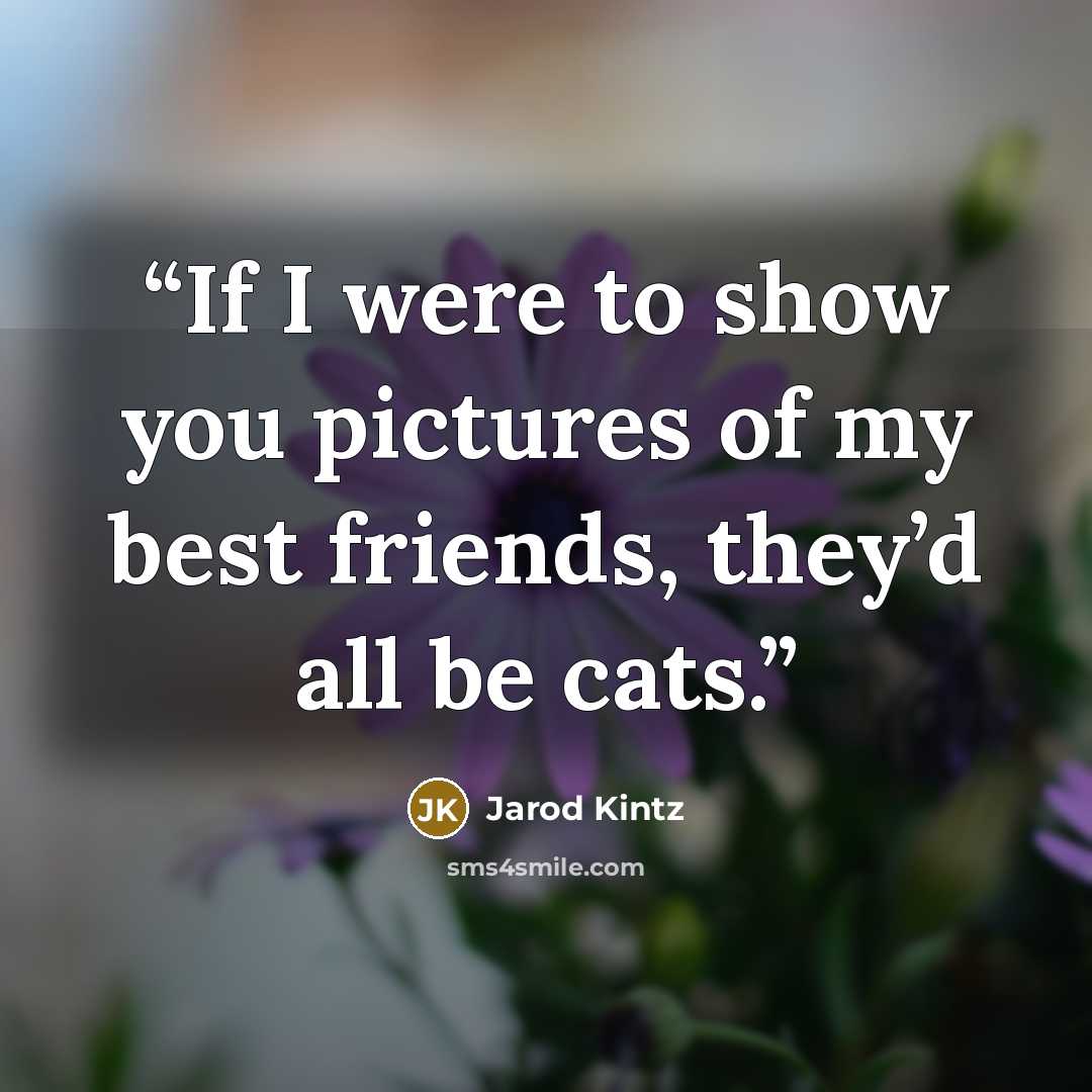 “If I were to show you pictures of my best friends, they’d all be cats.” quote by Jarod Kintz