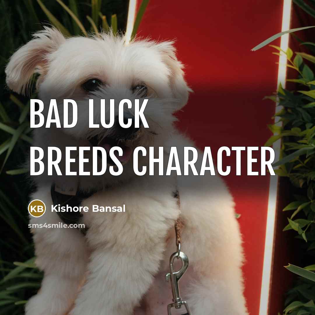 “Bad luck Breeds Character” quote by Kishore Bansal