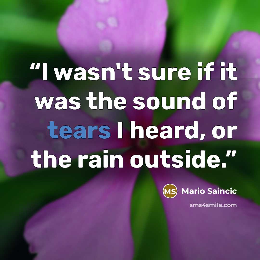 “I wasn't sure if it was the sound of tears I heard, or the rain outside.” quote by Mario Saincic