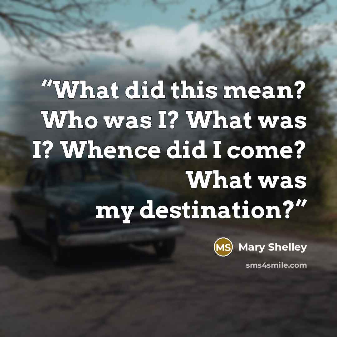 “What did this mean? Who was I? What was I? Whence did I come? What was my destination?” quote by Mary Shelley