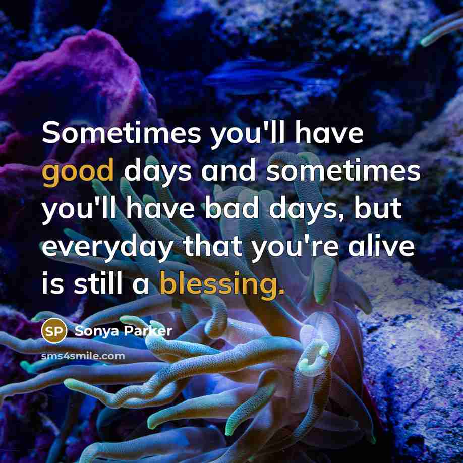 “Sometimes you'll have good days and sometimes you'll have bad days, but everyday that you're alive is still a blessing.” quote by SONYA PARKER