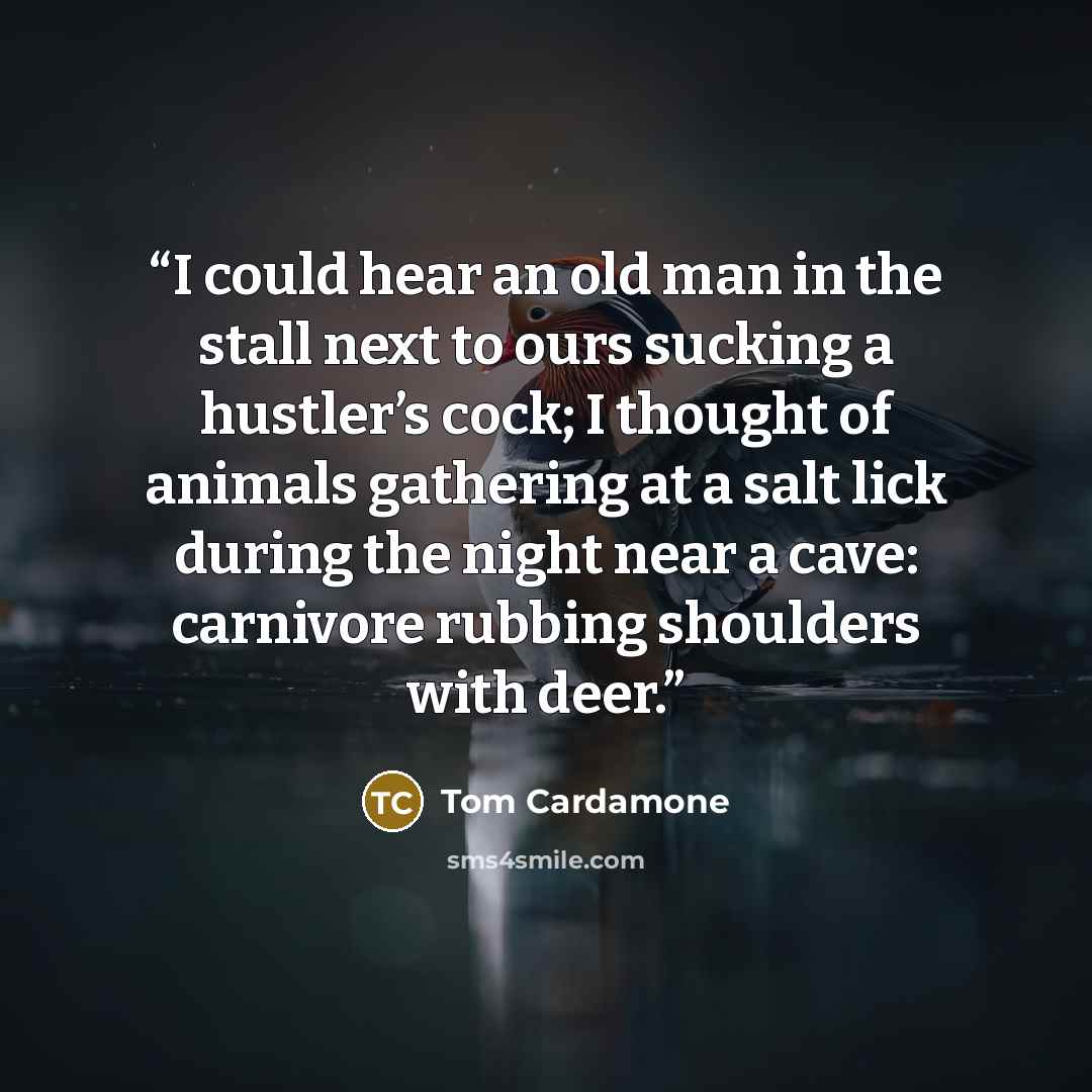 “I could hear an old man in the stall next to ours sucking a hustler’s cock; I thought of animals gathering at a salt lick during the night near a cave: carnivore rubbing shoulders with deer.” quote by Tom Cardamone