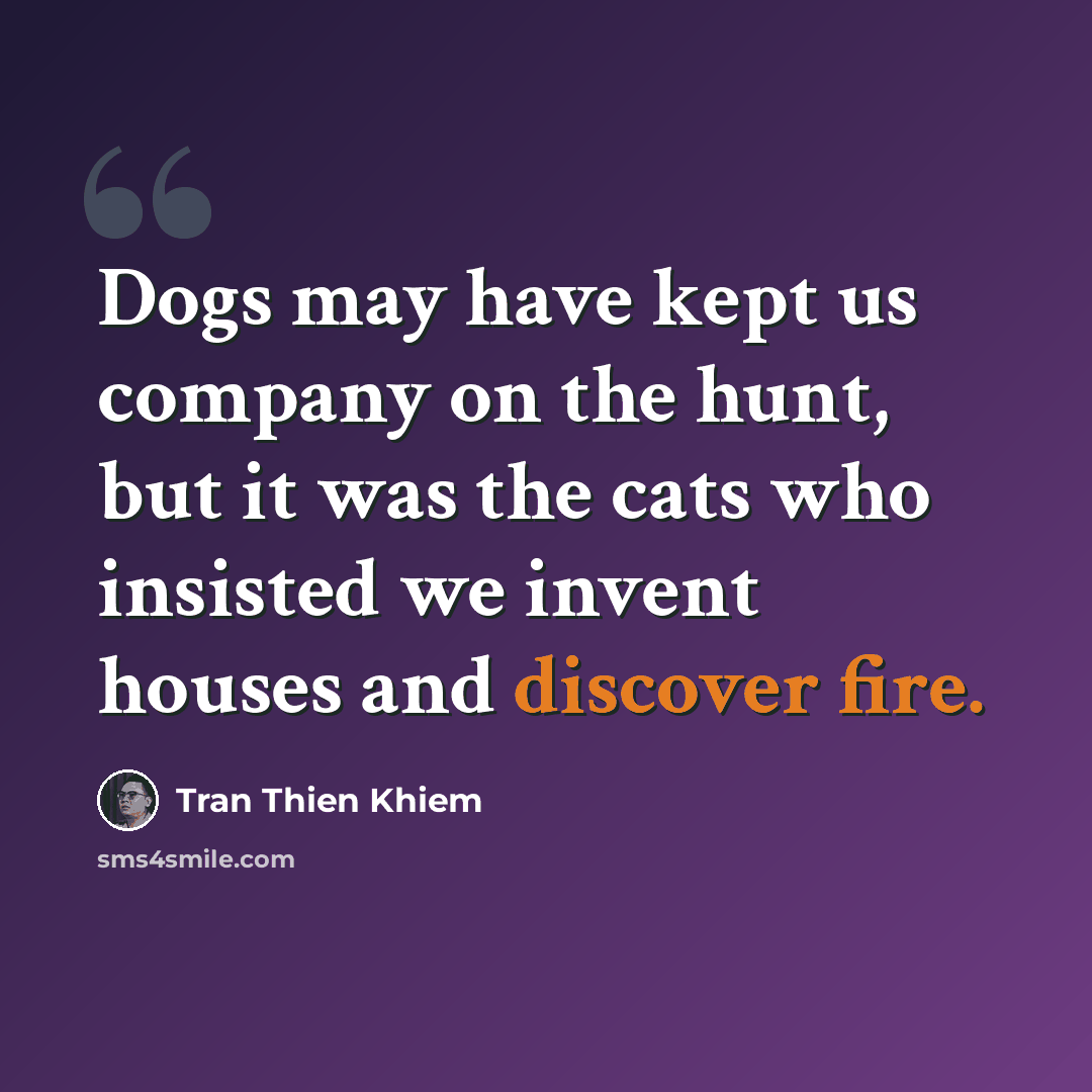 “Dogs may have kept us company on the hunt, but it was the cats who insisted we invent houses and discover fire.” quote by Tran Thien Khiem