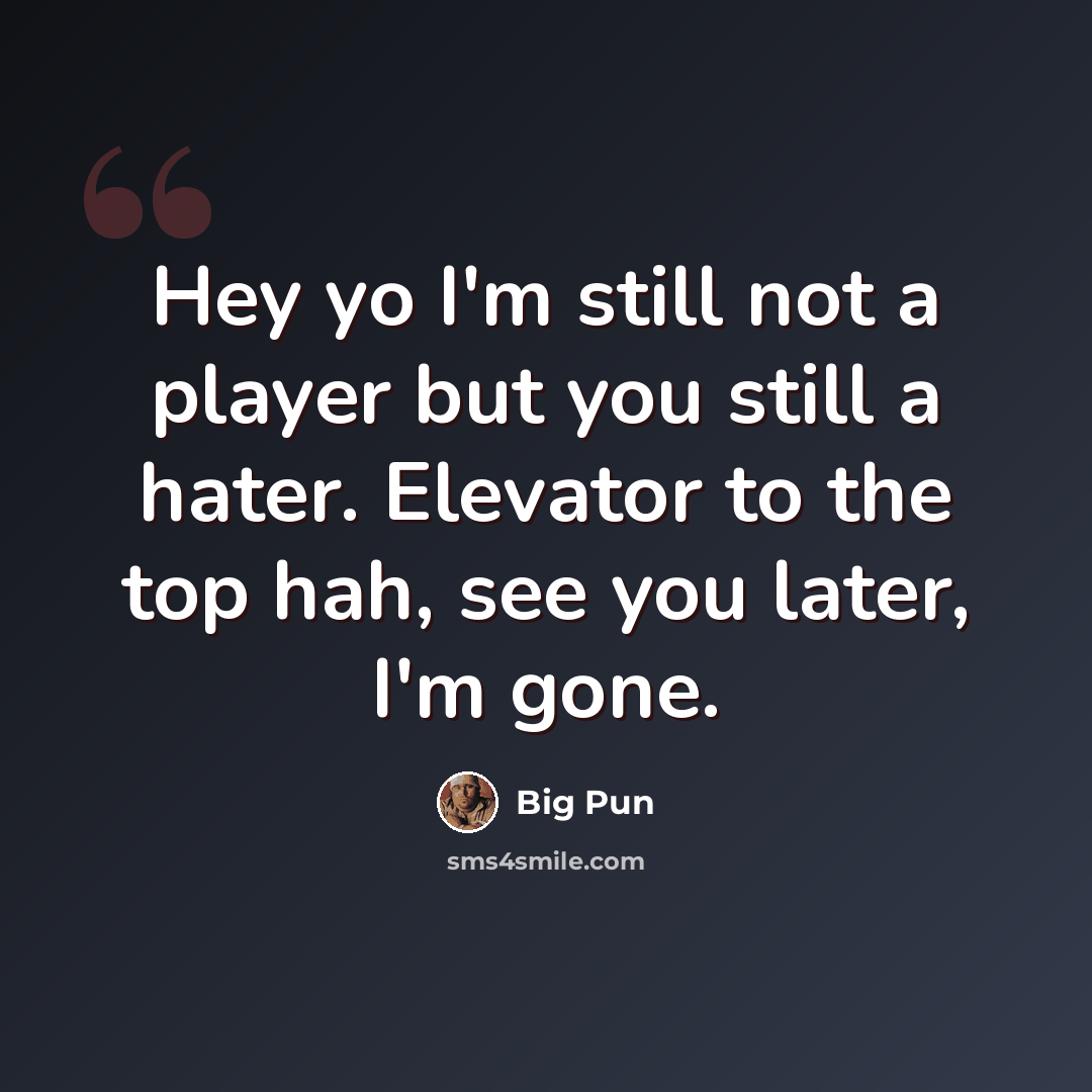 “Hey yo I'm still not a player but you still a hater. Elevator to the top hah, see you later, I'm gone.” quote by Big Pun