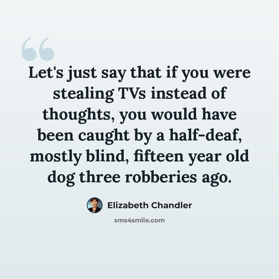“Let's just say that if you were stealing TVs instead of thoughts, you would have been caught by a half-deaf, mostly blind, fifteen year old dog three robberies ago.” quote by Elizabeth Chandler