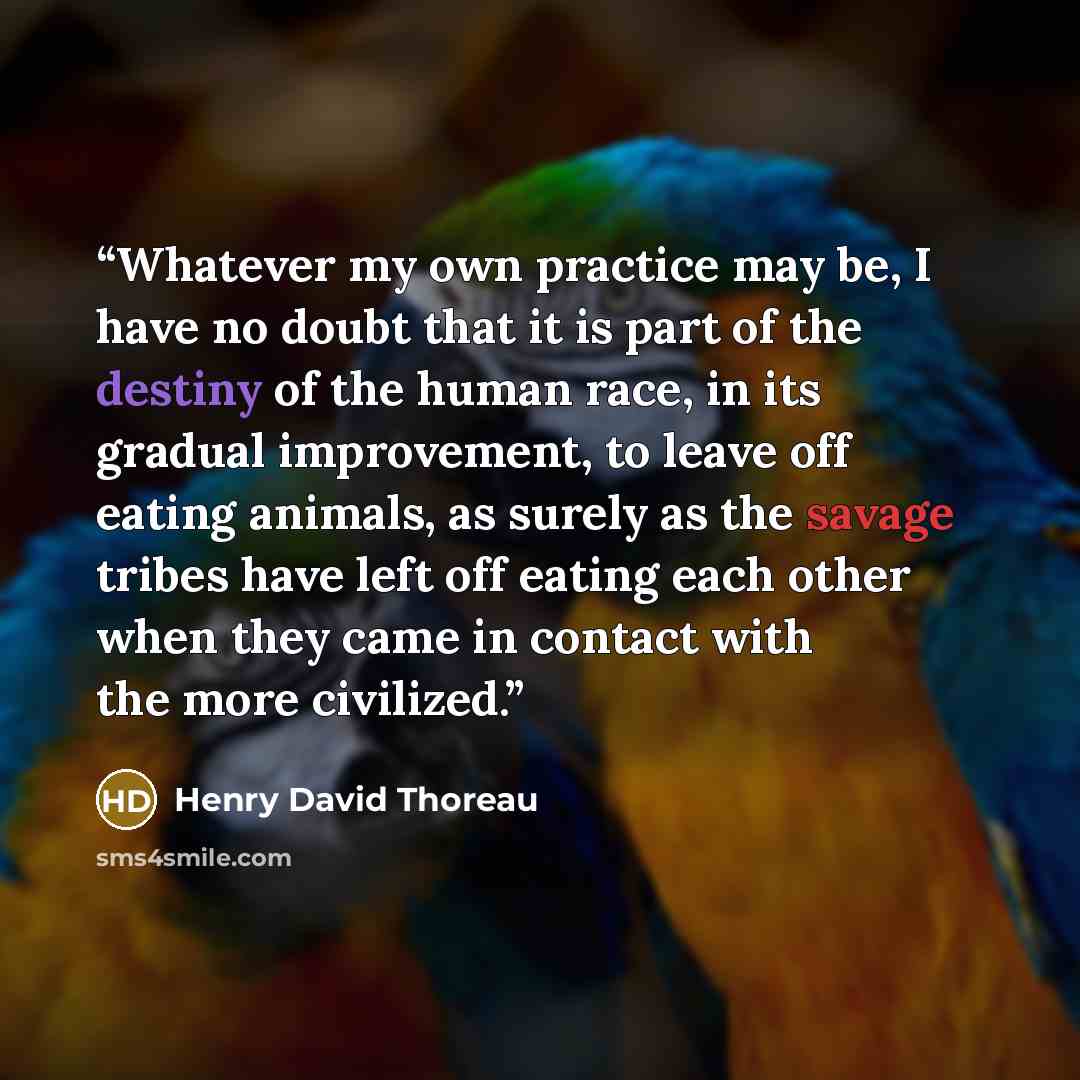 “Whatever my own practice may be, I have no doubt that it is part of the destiny of the human race, in its gradual improvement, to leave off eating animals, as surely as the savage tribes have left off eating each other when they came in contact with the more civilized.” quote by Henry David Thoreau
