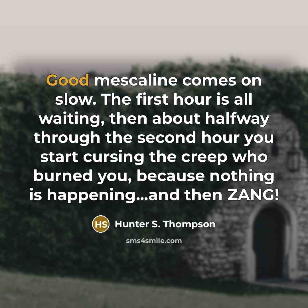 “Good mescaline comes on slow. The first hour is all waiting, then about halfway through the second hour you start cursing the creep who burned you, because nothing is happening...and then ZANG!” quote by Hunter S. Thompson