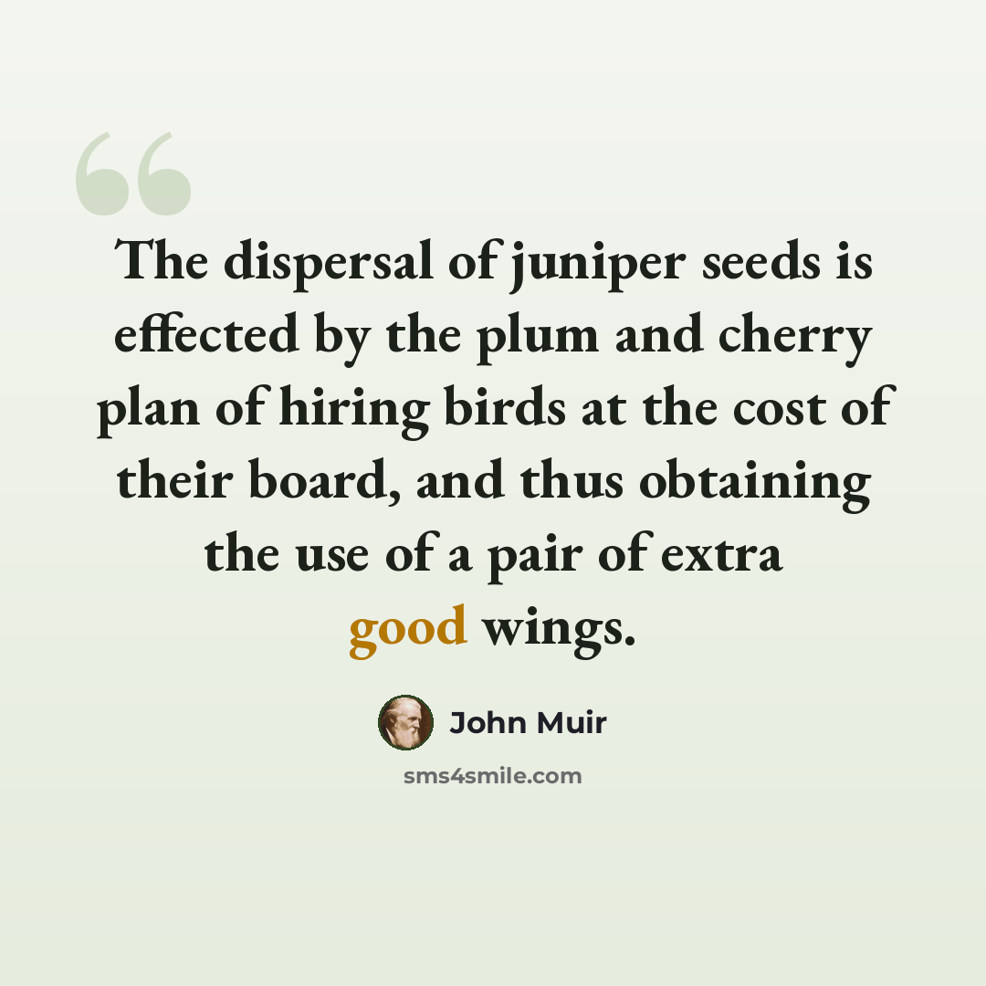 “The dispersal of juniper seeds is effected by the plum and cherry plan of hiring birds at the cost of their board, and thus obtaining the use of a pair of extra good wings.” quote by John Muir
