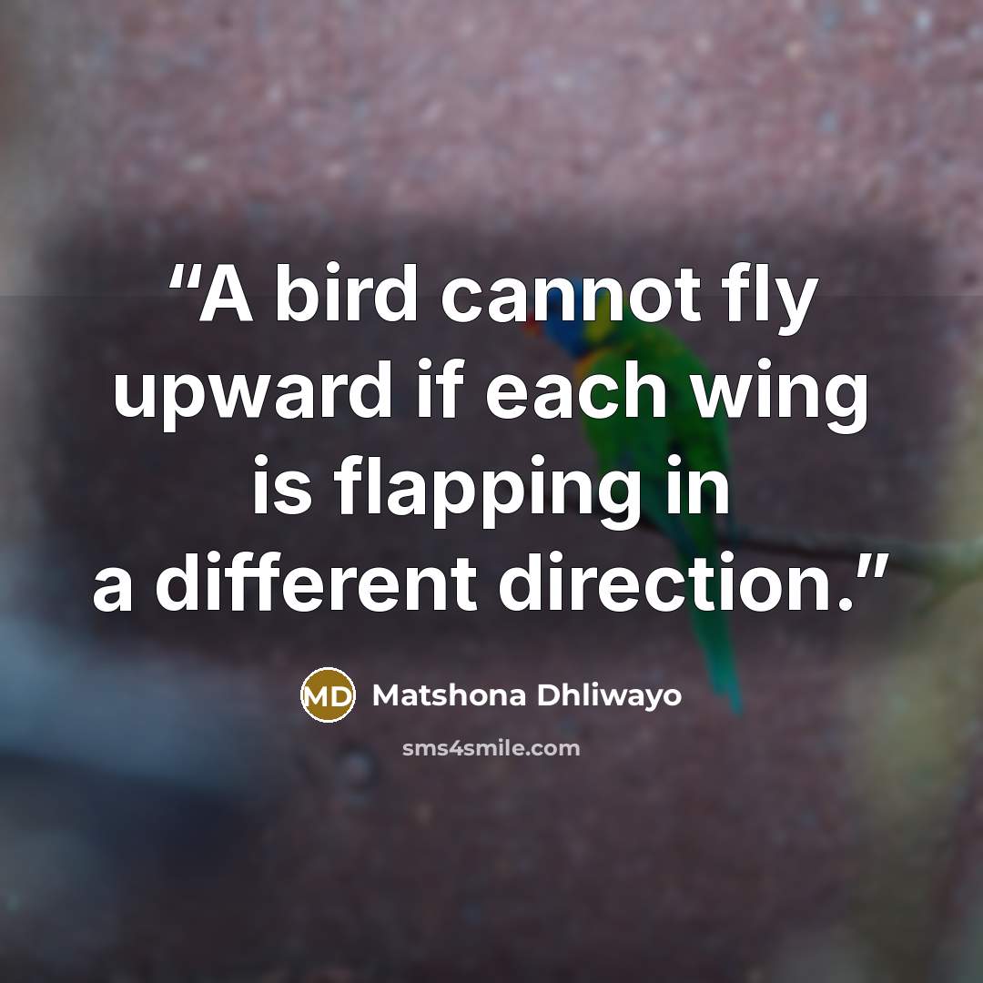 “A bird cannot fly upward if each wing is flapping in a different direction.” quote by Matshona Dhliwayo