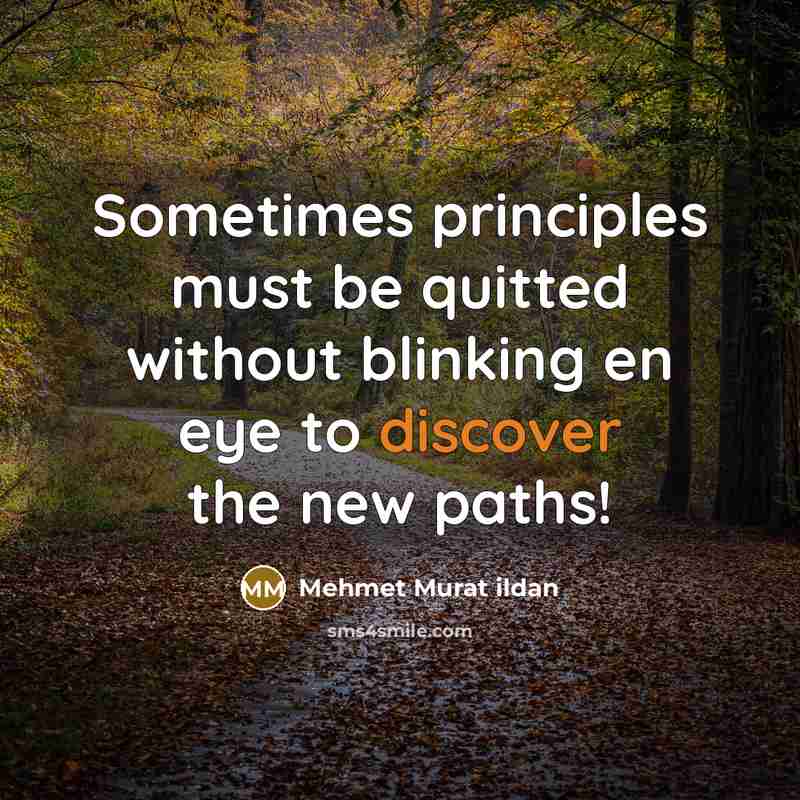 “Sometimes principles must be quitted without blinking en eye to discover the new paths!” quote by Mehmet Murat Ildan