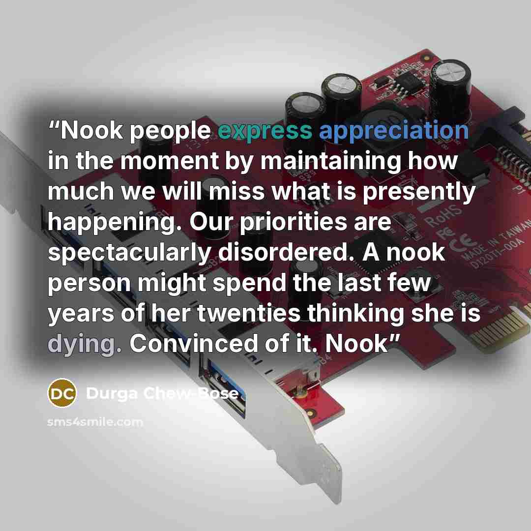 “Nook people express appreciation in the moment by maintaining how much we will miss what is presently happening. Our priorities are spectacularly disordered. A nook person might spend the last few years of her twenties thinking she is dying. Convinced of it. Nook” quote by Durga Chew-Bose