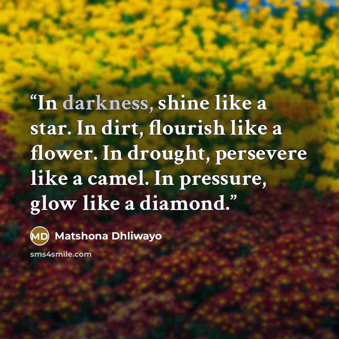 “In darkness, shine like a star. In dirt, flourish like a flower. In drought, persevere like a camel. In pressure, glow like a diamond.” quote by Matshona Dhliwayo