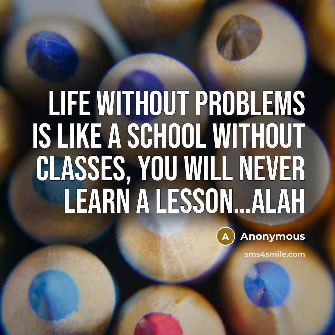 “Life without problems is like a school without classes, you will never learn a lesson…alah” quote by Anonymous