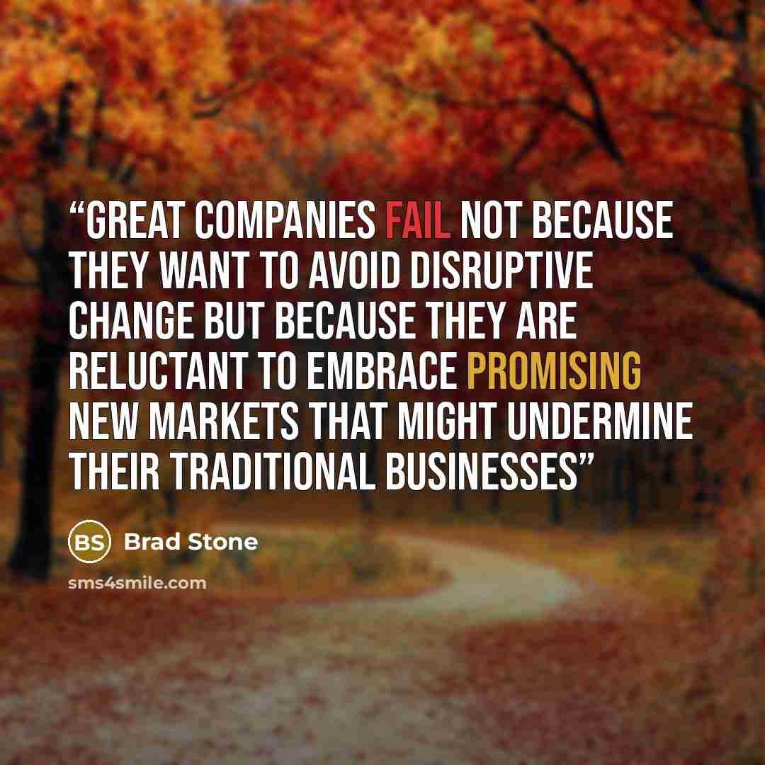 “great companies fail not because they want to avoid disruptive change but because they are reluctant to embrace promising new markets that might undermine their traditional businesses” quote by Brad Stone