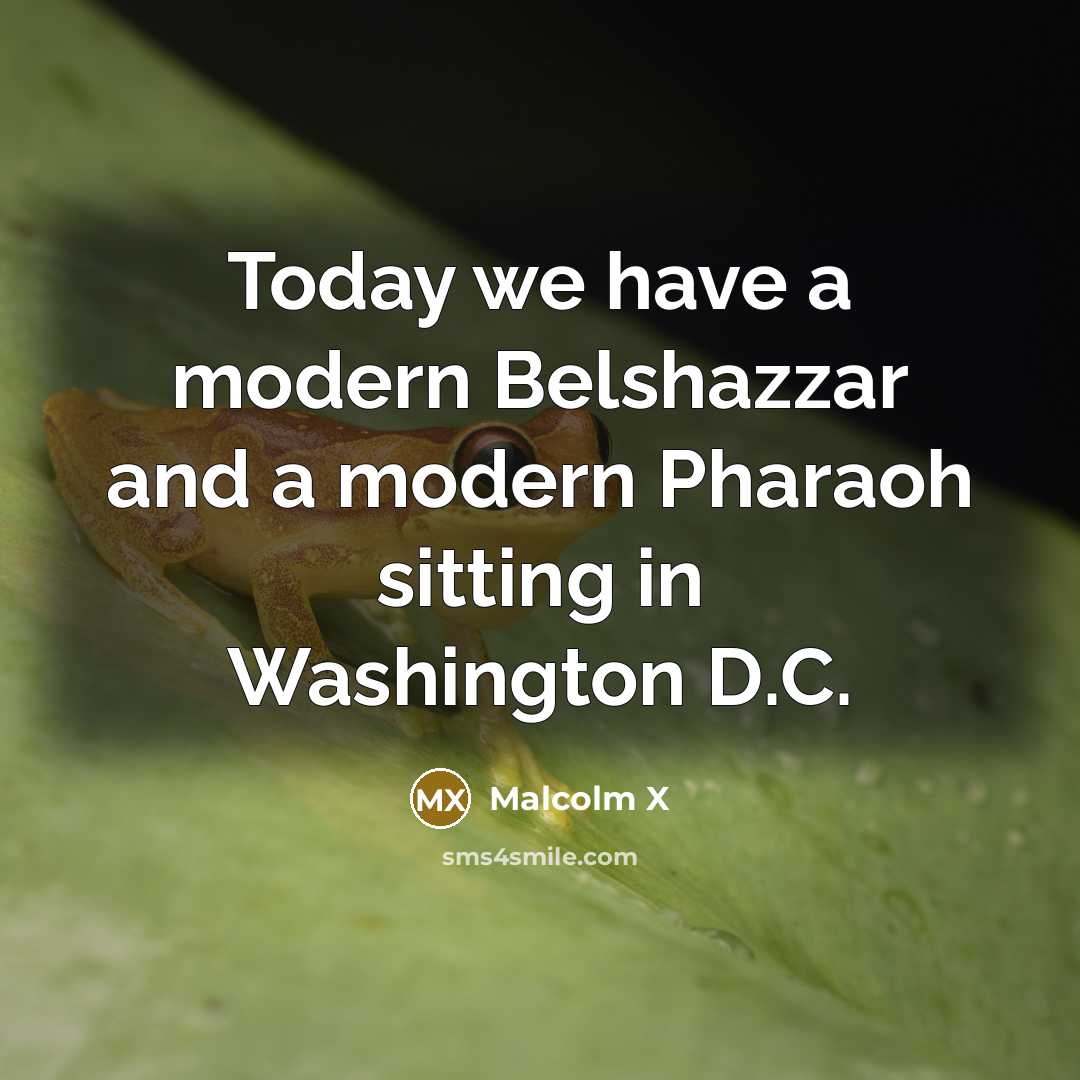 “Today we have a modern Belshazzar and a modern Pharaoh sitting in Washington D.C.” quote by Malcolm X