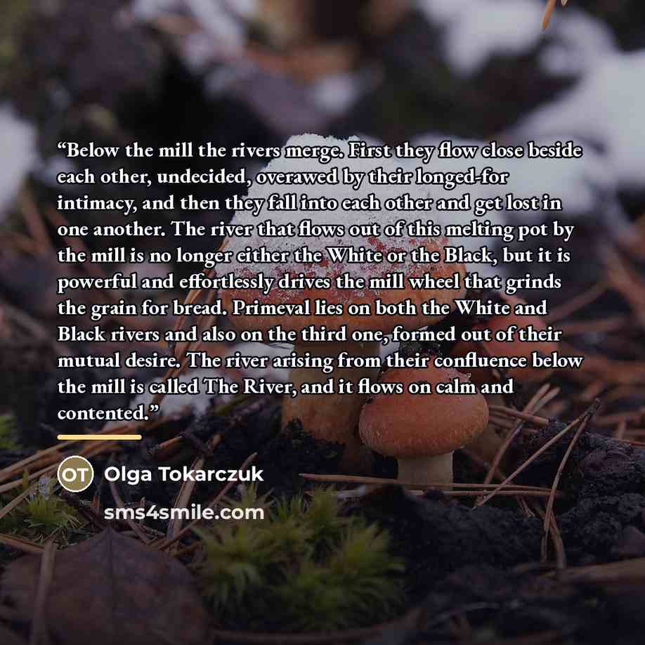 “Below the mill the rivers merge. First they flow close beside each other, undecided, overawed by their longed-for intimacy, and then they fall into each other and get lost in one another. The river that flows out of this melting pot by the mill is no longer either the White or the Black, but it is…” quote by Olga Tokarczuk