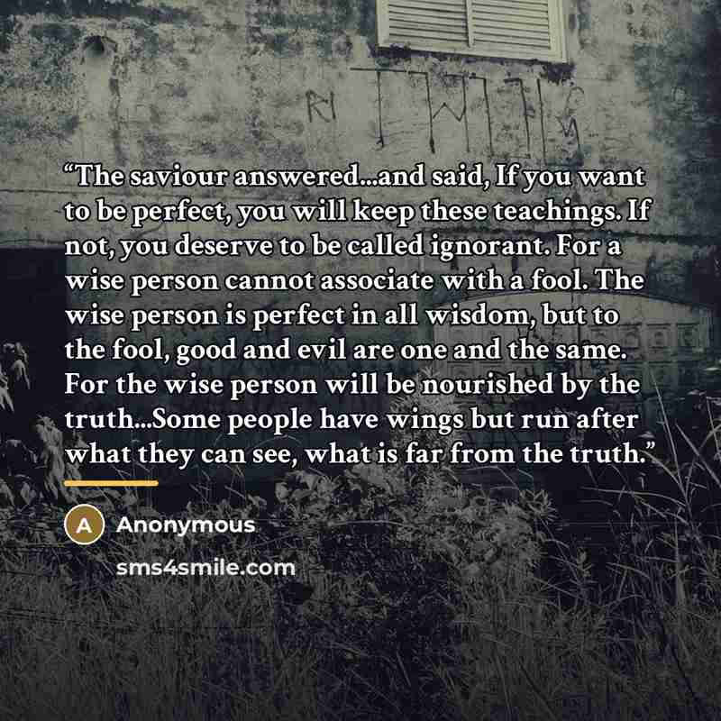 “The saviour answered...and said, If you want to be perfect, you will keep these teachings. If not, you deserve to be called ignorant. For a wise person cannot associate with a fool. The wise person is perfect in all wisdom, but to the fool, good and evil are one and the same. For the wise person…” quote by Anonymous