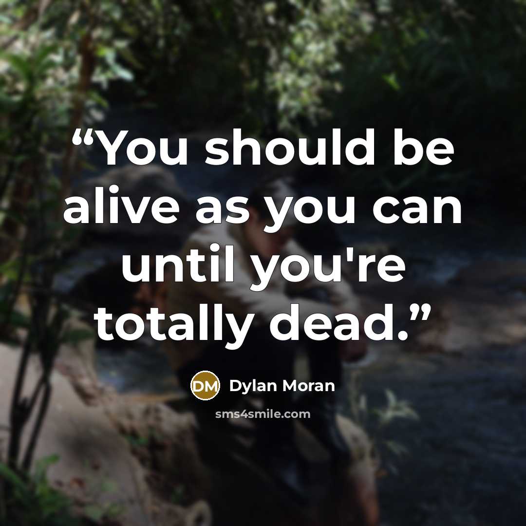 “You should be alive as you can until you're totally dead.” quote by Dylan Moran