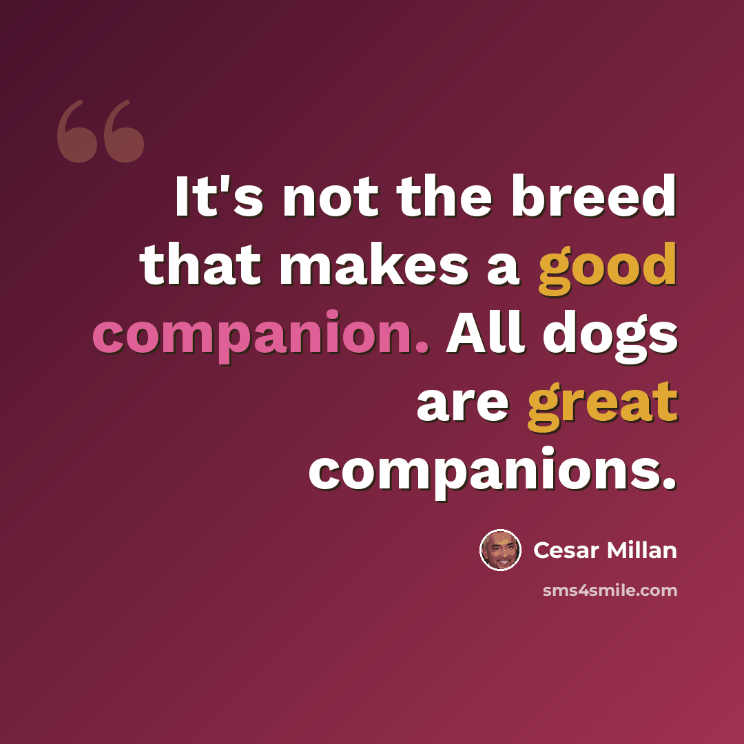 “It's not the breed that makes a good companion. All dogs are great companions.” quote by Cesar Millan