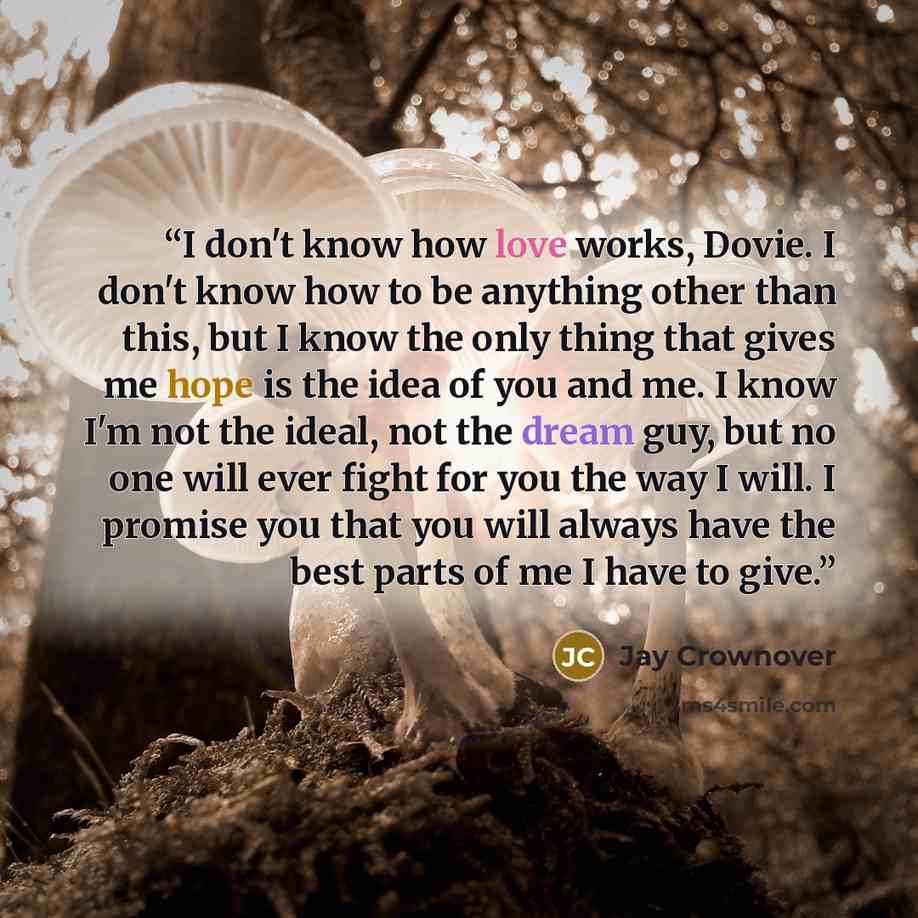 “I don't know how love works, Dovie. I don't know how to be anything other than this, but I know the only thing that gives me hope is the idea of you and me. I know I'm not the ideal, not the dream guy, but no one will ever fight for you the way I will. I promise you that you will always have the…” quote by Jay Crownover