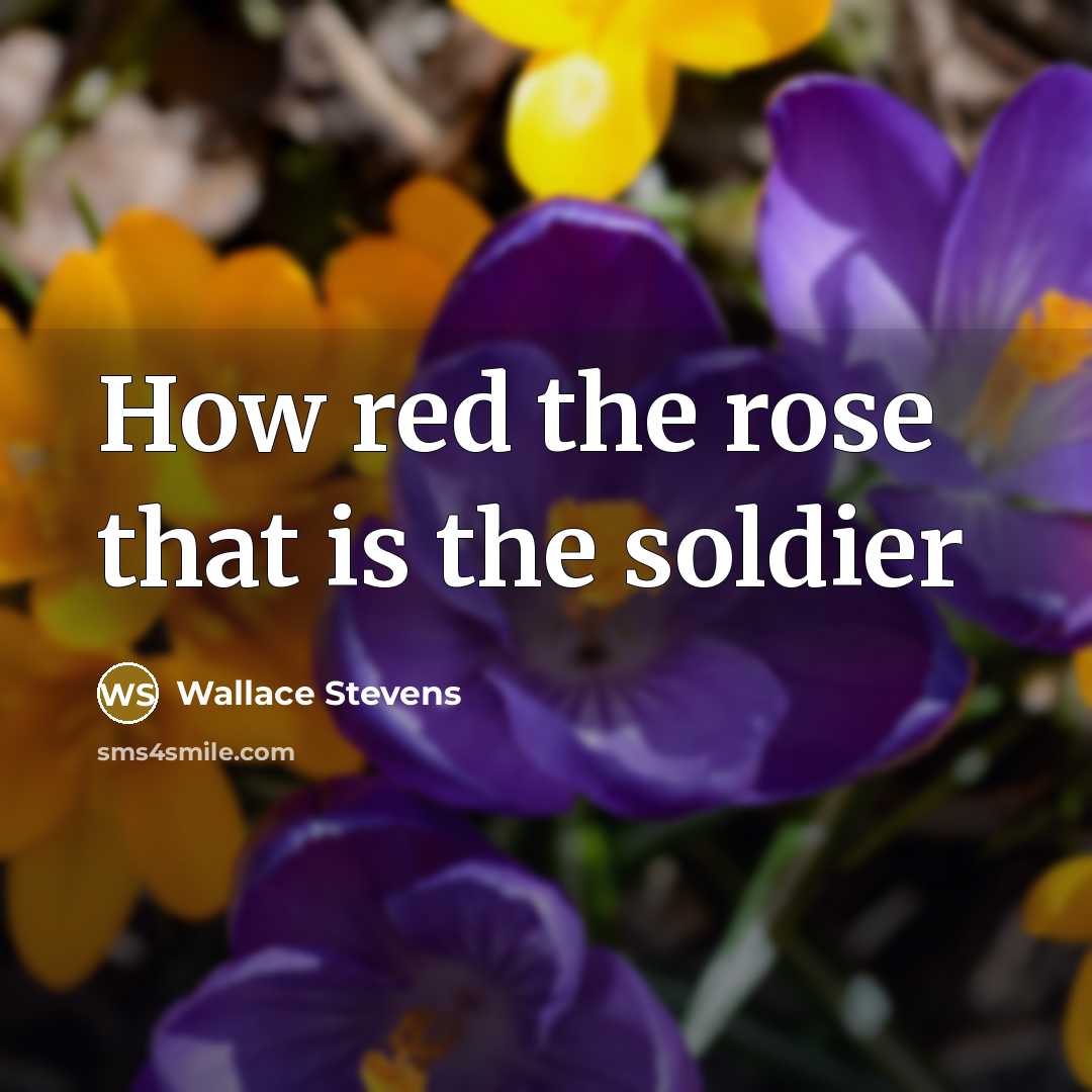 “How red the rose that is the soldier” quote by Wallace Stevens