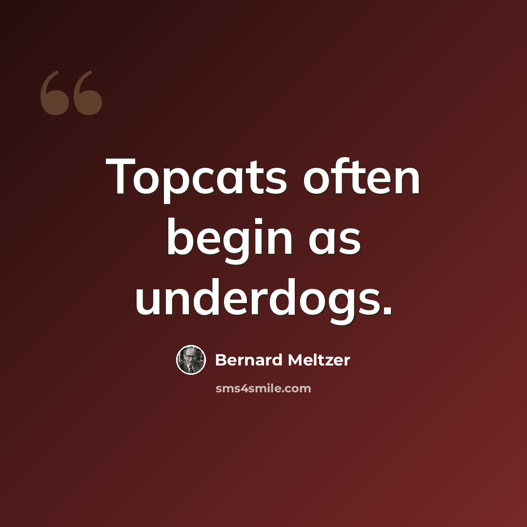 “Topcats often begin as underdogs.” quote by Bernard Meltzer