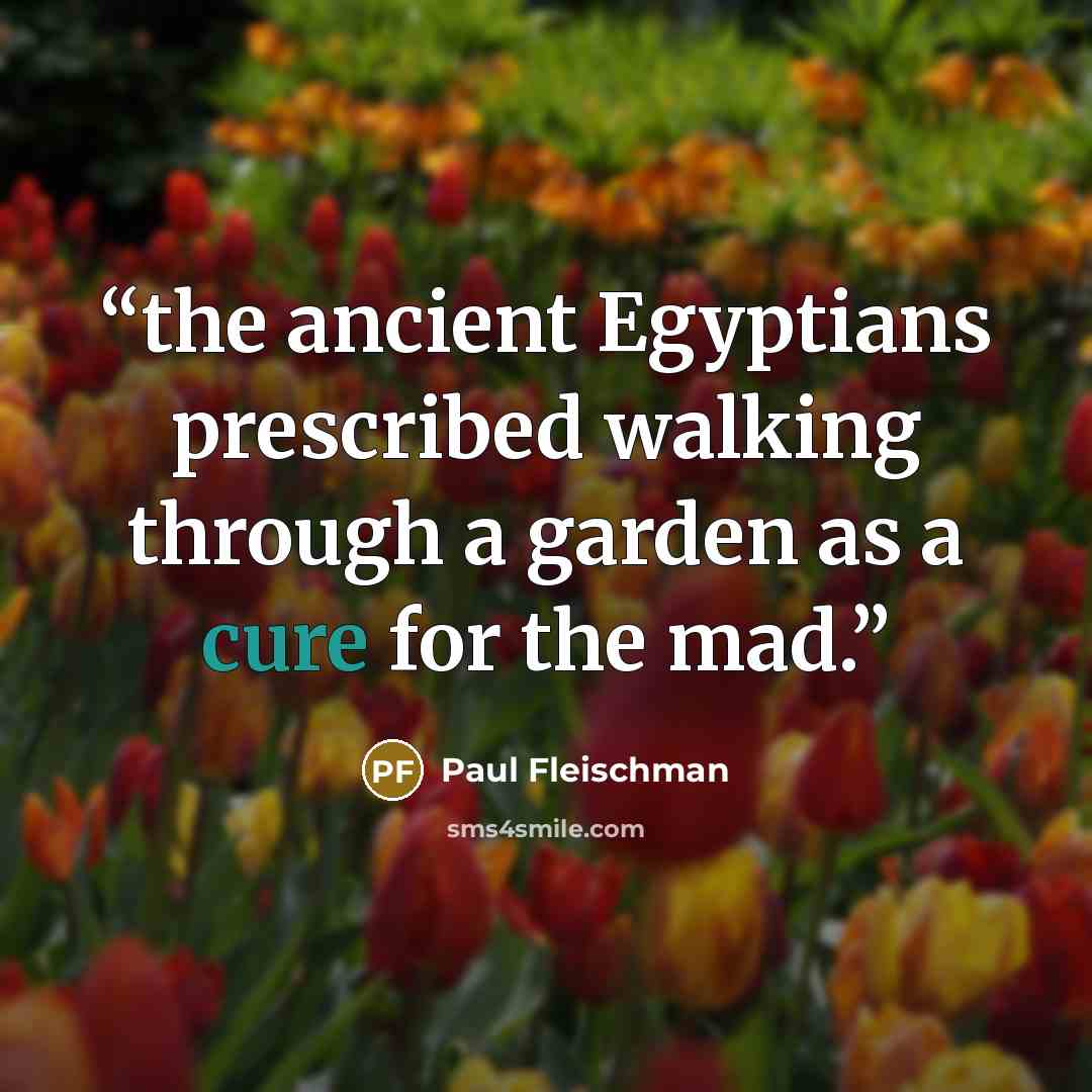 “the ancient Egyptians prescribed walking through a garden as a cure for the mad.” quote by Paul Fleischman