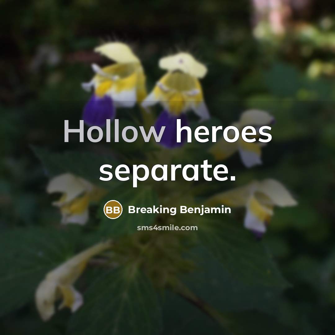 “Hollow heroes separate.” quote by Breaking Benjamin