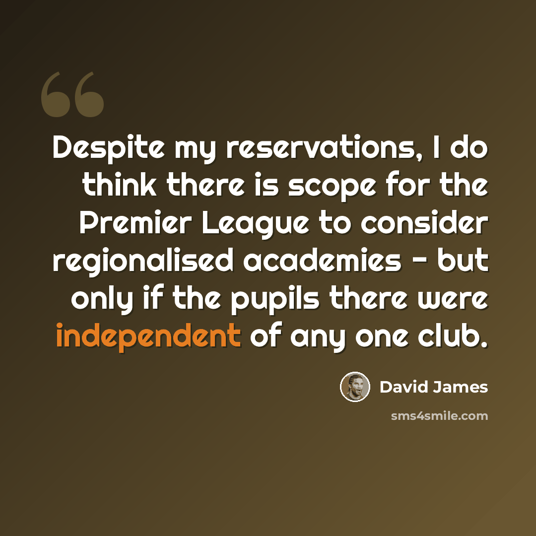 “Despite my reservations, I do think there is scope for the Premier League to consider regionalised academies - but only if the pupils there were independent of any one club.” quote by David James
