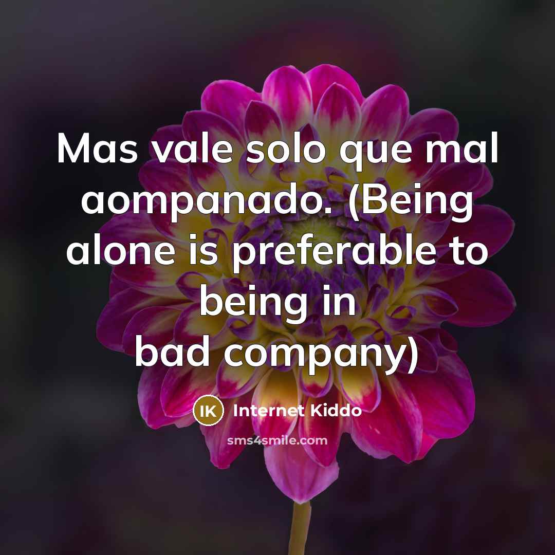 “Mas vale solo que mal aompanado. (Being alone is preferable to being in bad company)” quote by Internet Kiddo