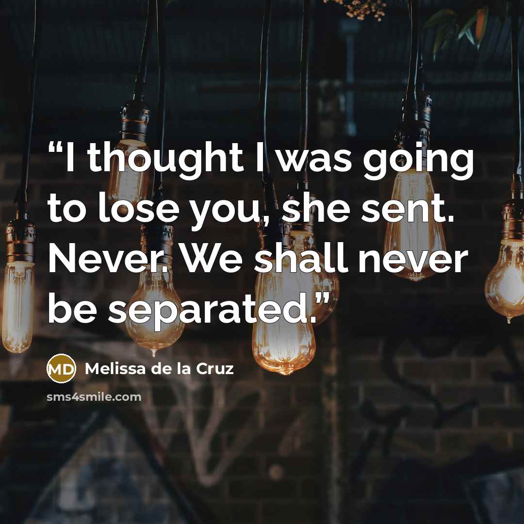 “I thought I was going to lose you, she sent. Never. We shall never be separated.” quote by Melissa de la Cruz